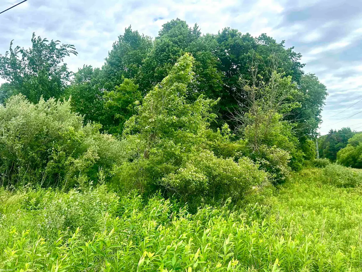VL Braidwood Parcel 5, Riley, MI 48041 - #1