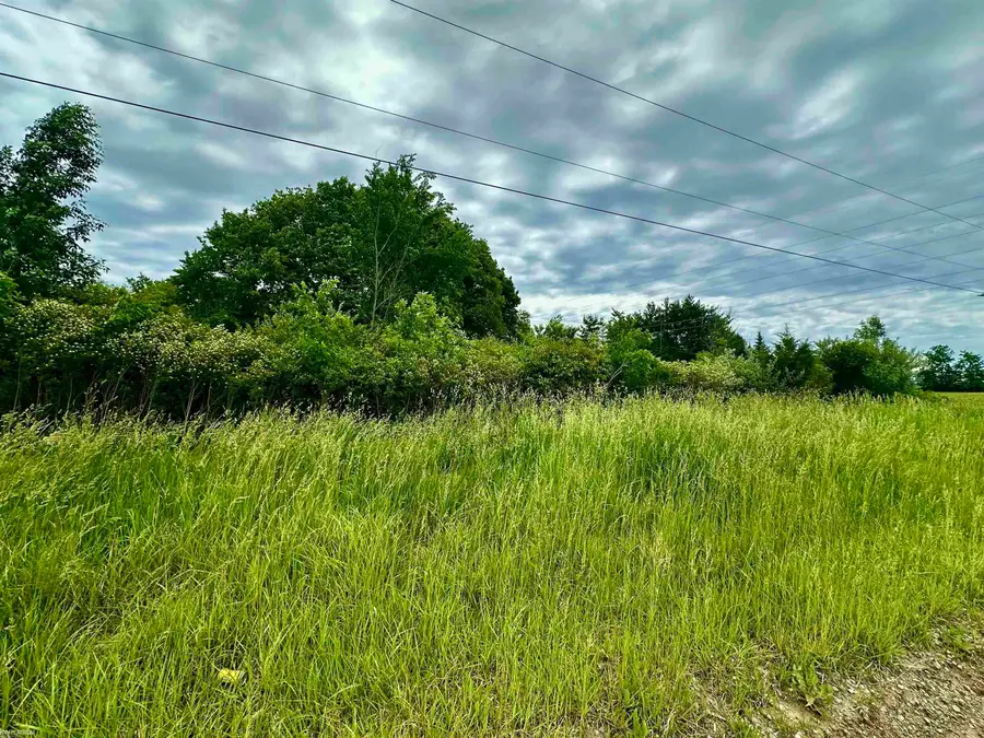 VL Braidwood Parcel 5, Riley, MI 48041 - #2