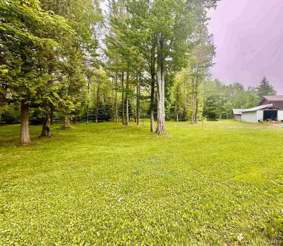 N5232 Dhondt, Skandia, MI 49885 - #2