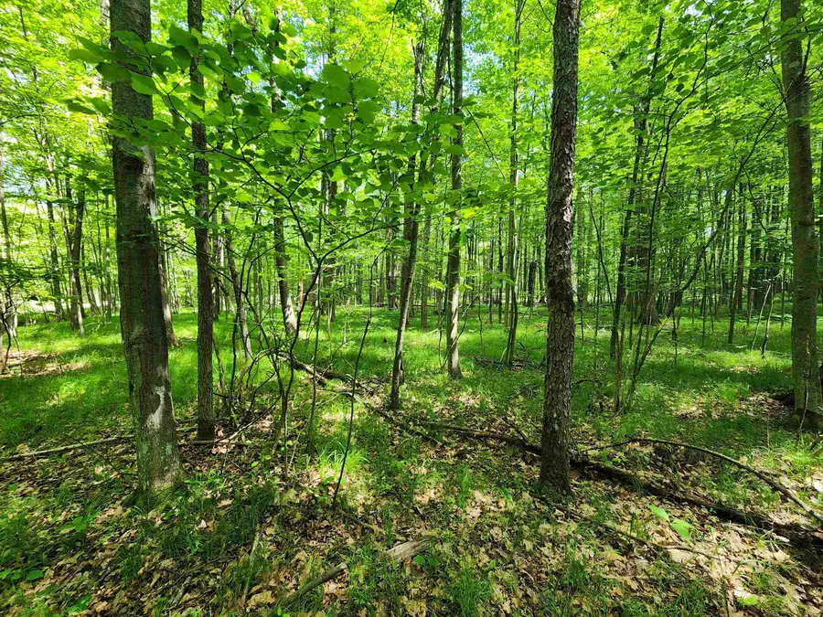 Lot 1118 White Birch, Farwell, MI 48622 - #3