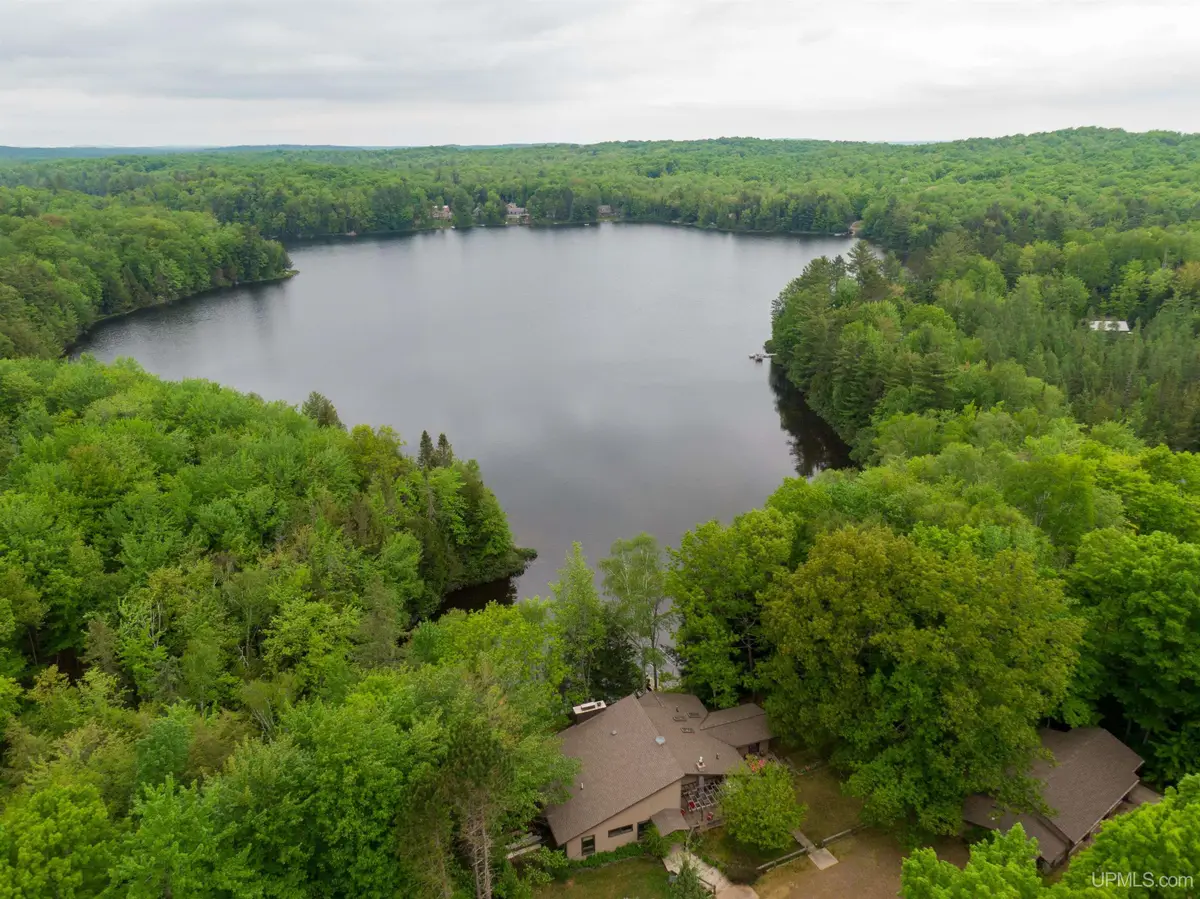 1605 Engman Lake, Skandia, MI 49885 - #1