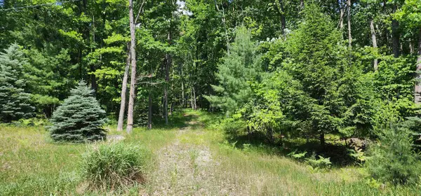 4809 White Birch, Farwell, MI 48622