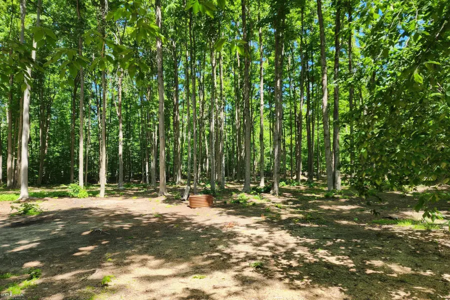 9955 Greenway, Frederic, MI 49733 - #3