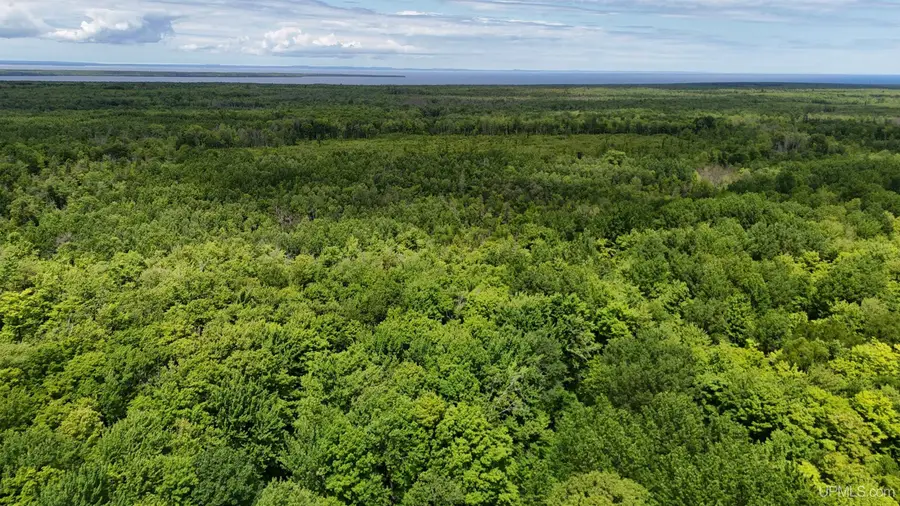 TBD20 Skanee, Skanee, MI 49962 - #3