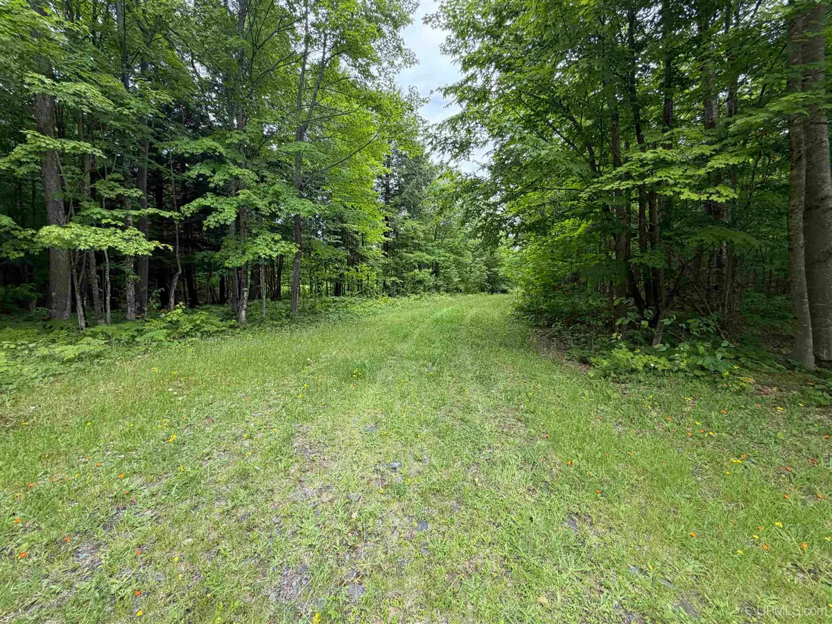 TBD25.8 Skanee, Skanee, MI 49962 - #1
