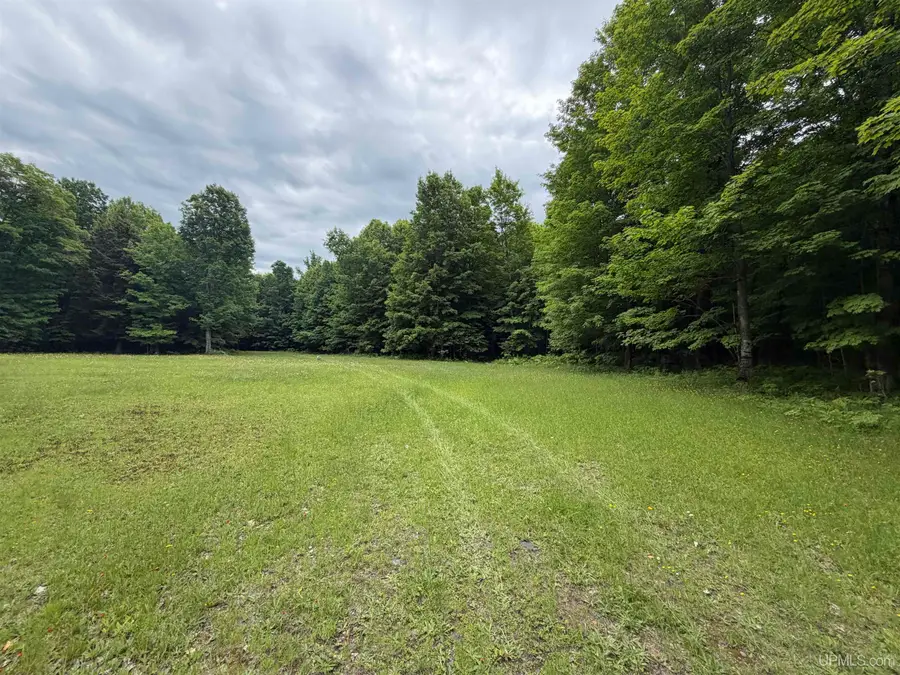 TBD25.8 Skanee, Skanee, MI 49962 - #2