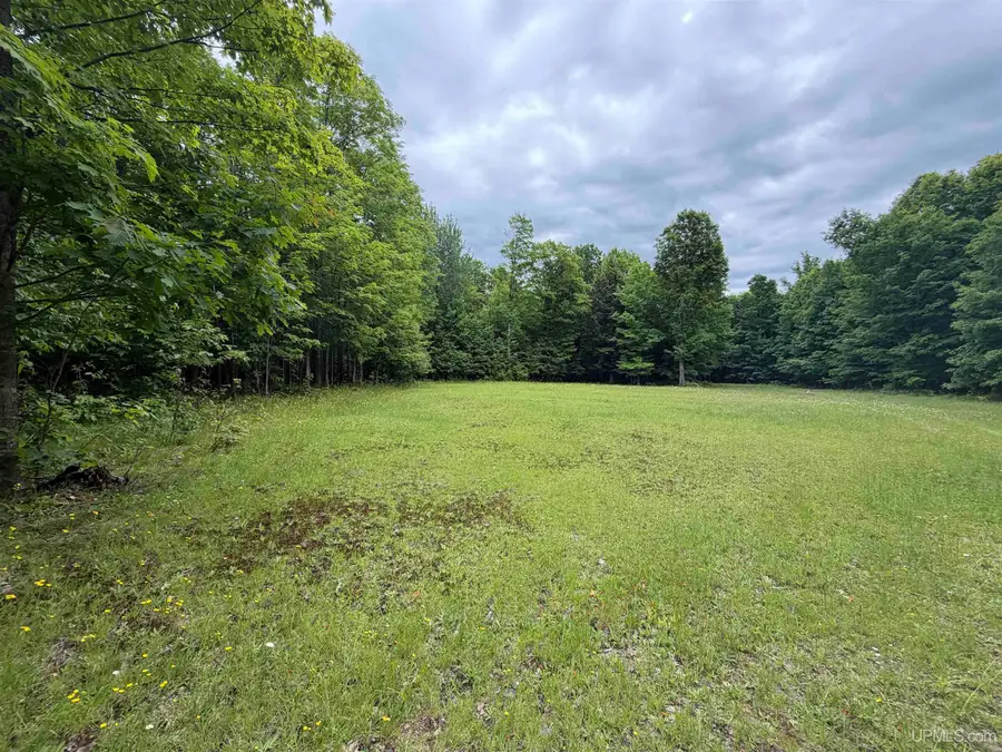 TBD25.8 Skanee, Skanee, MI 49962 - #3