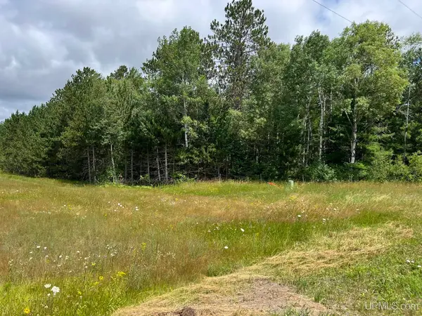 TBD Us 141, Crystal Falls, MI 49920