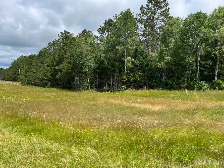 TBD Us 141, Crystal Falls, MI 49920 - #2