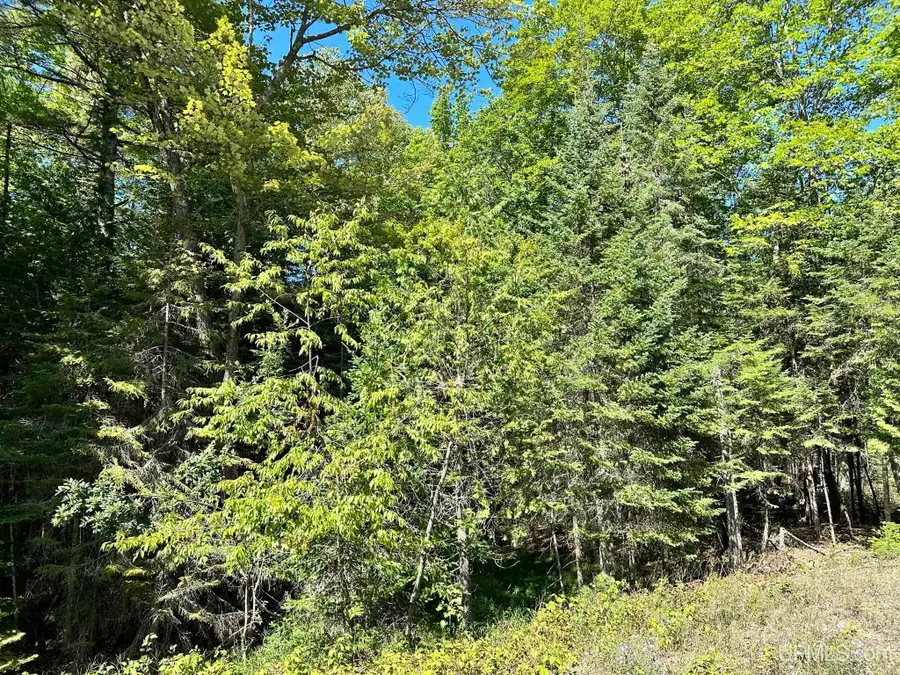 TBD Hemlock Views, Manistique, MI 49854 - #2