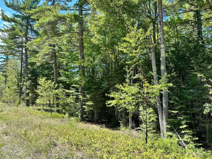 TBD Hemlock Views, Manistique, MI 49854 - #3