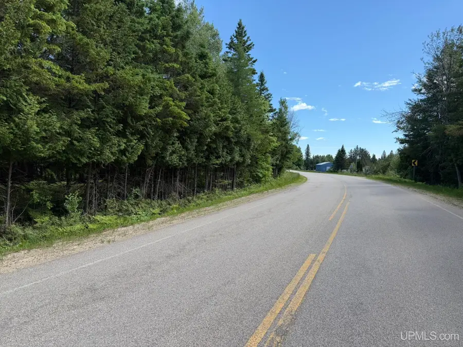 Parcel D H33, Gould City, MI 49838 - #2