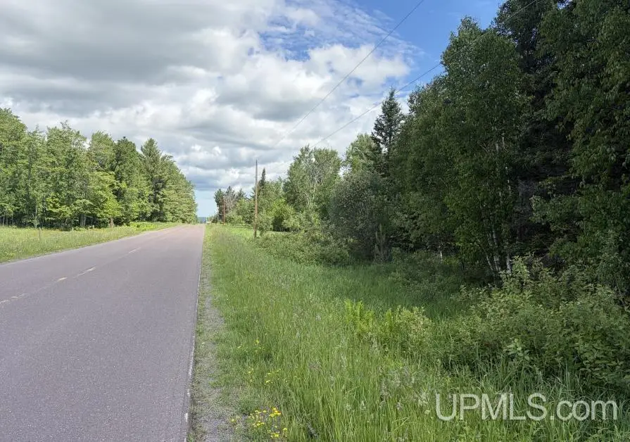 Parcel C Bellaire, Baraga, MI 49908 - #3