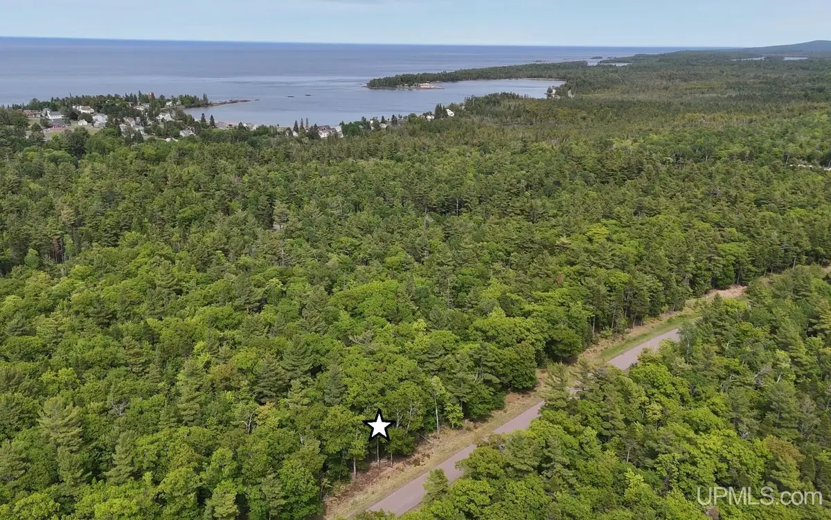 TBD38 Eliza Creek, Eagle Harbor, MI 49950 - #1