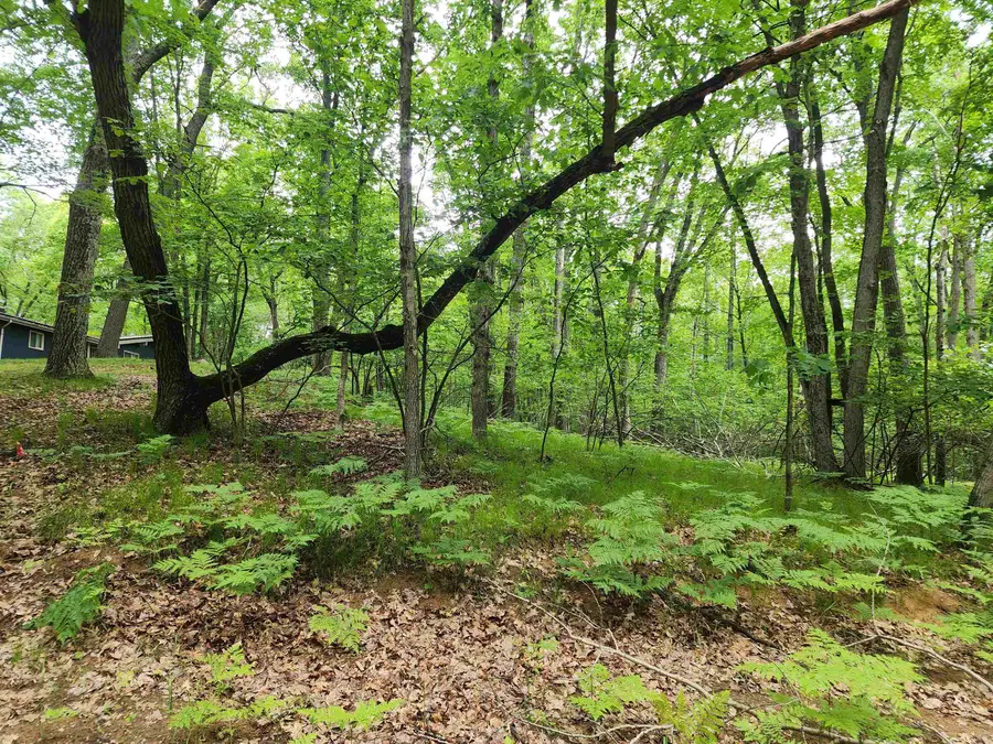 Lot 826 Hemlock, Farwell, MI 48622 - #2