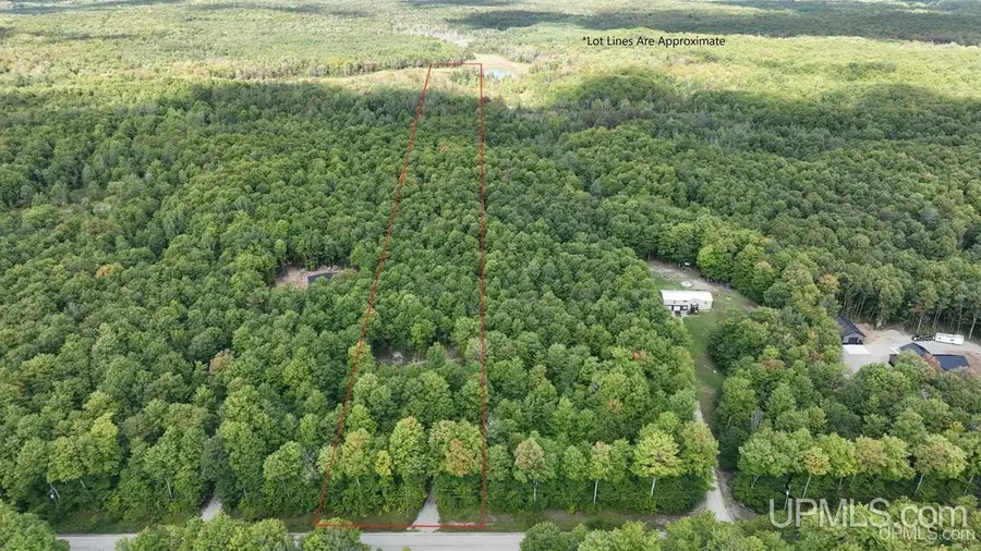 E12696 H-58, Shingleton, MI 49884 - #2