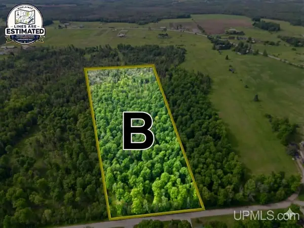 TBD River J.5 Parcel B, Cornell, MI 49818
