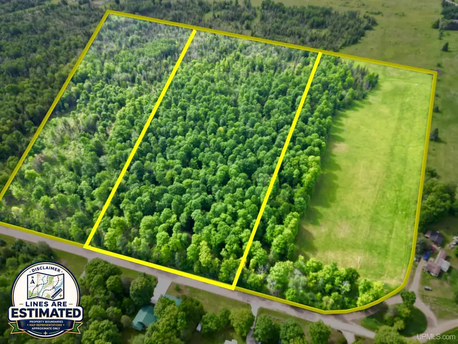 TBD River J.5 Parcel C, Cornell, MI 49818 - #3