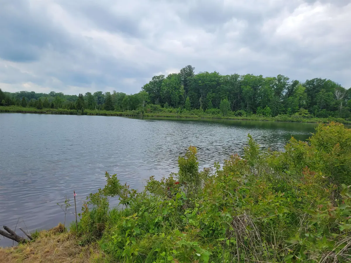 Parcel 2 Simpson, Harrison, MI 48625 - #1