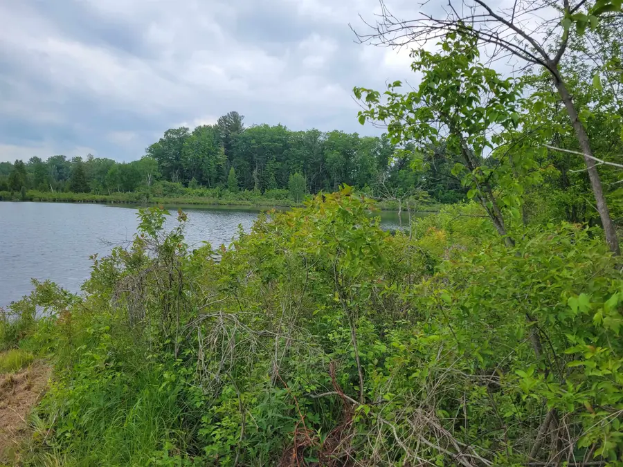 Parcel 2 Simpson, Harrison, MI 48625 - #3
