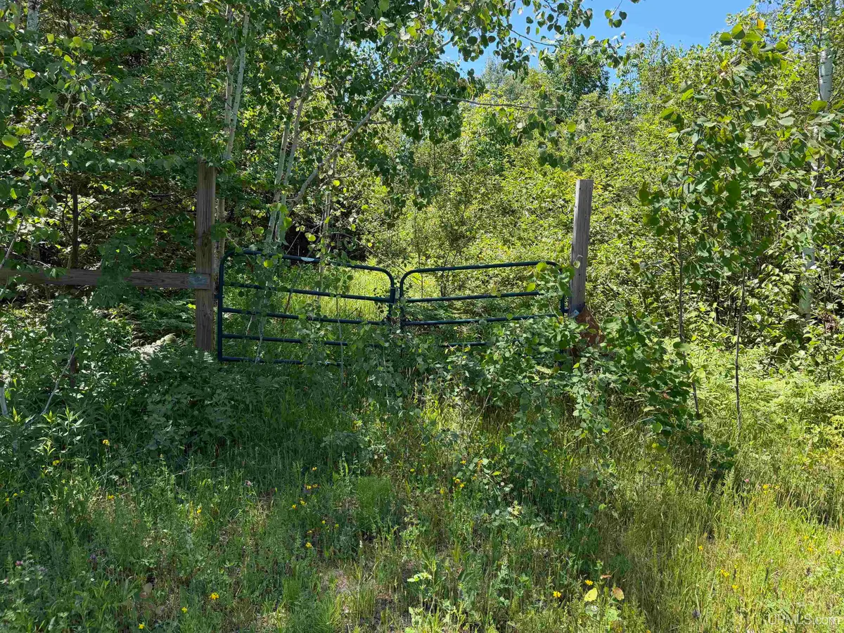 TBD Woodspur, Ontonagon, MI 49953 - #1