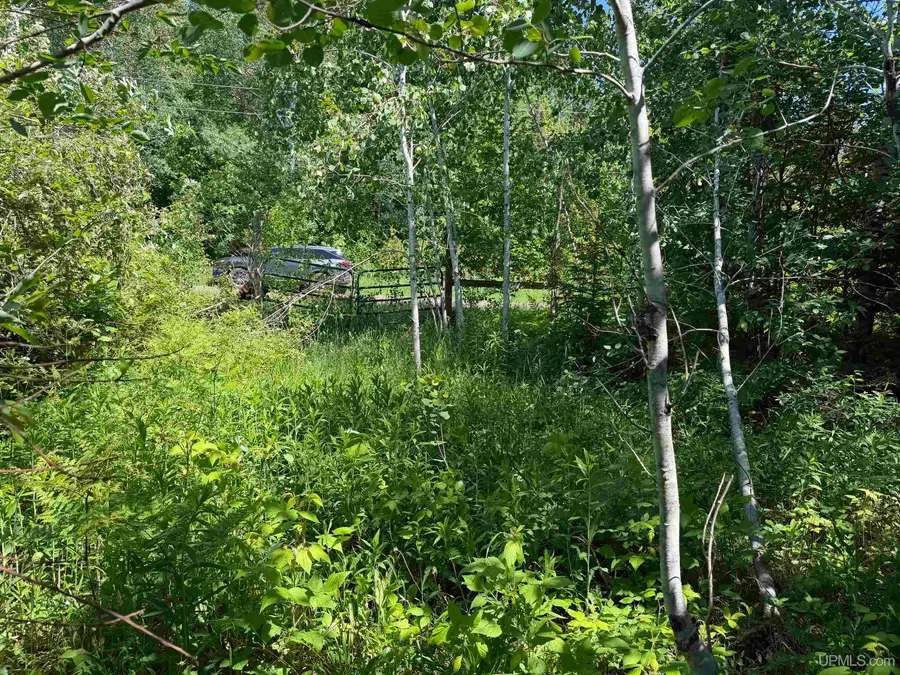TBD Woodspur, Ontonagon, MI 49953 - #2