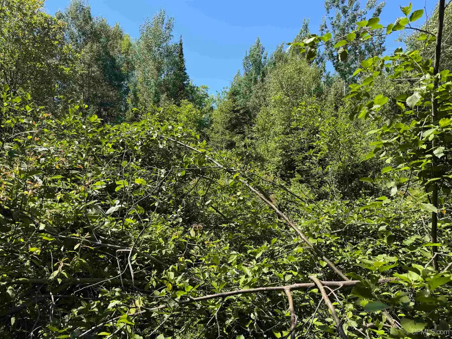 TBD Woodspur, Ontonagon, MI 49953 - #3