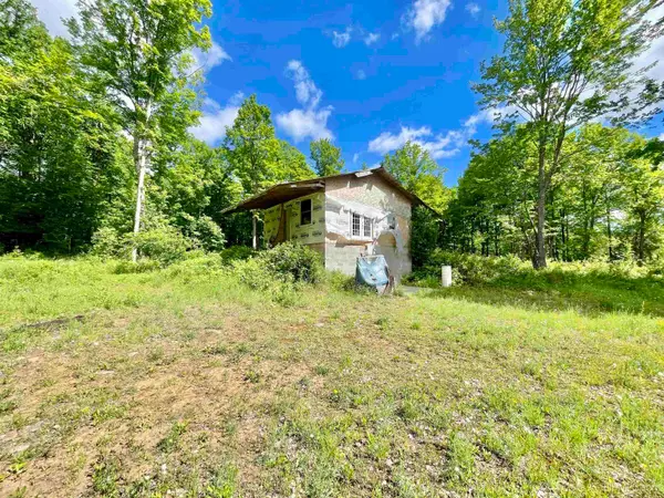 TBD Norway Lake, Felch, MI 49831