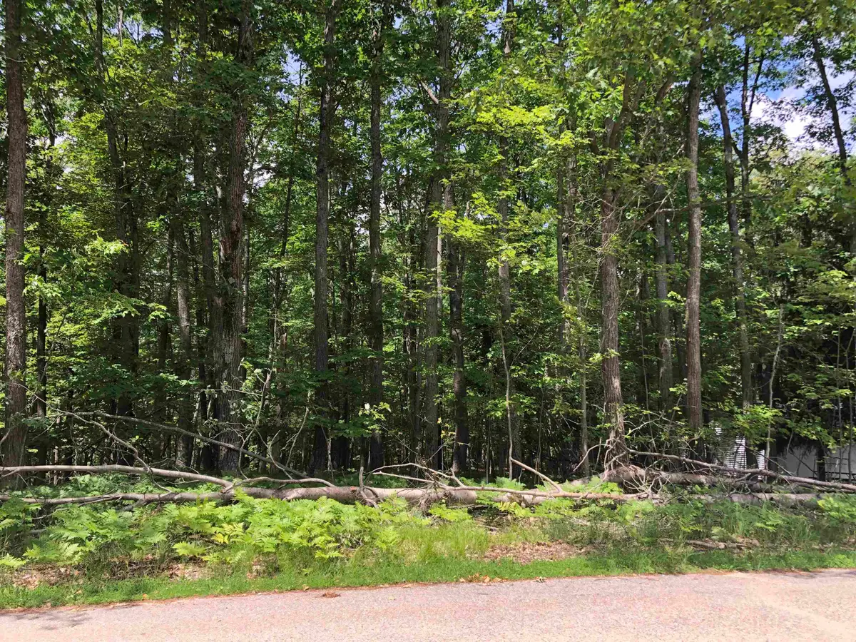 Baric, Roscommon, MI 48653 - #1
