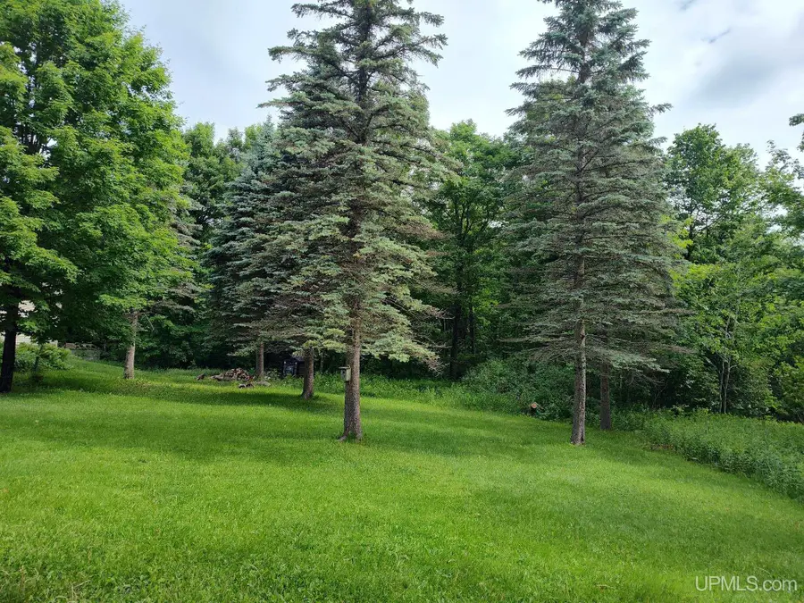 497 Bates Amasa Road, Iron River, MI 49935 - #2