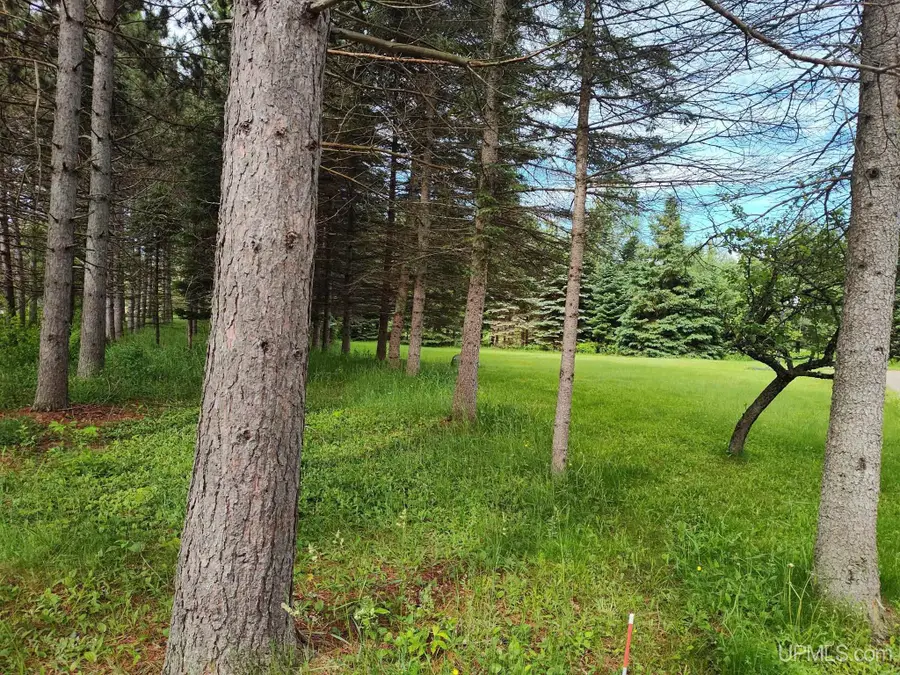 497 Bates Amasa Road, Iron River, MI 49935 - #3