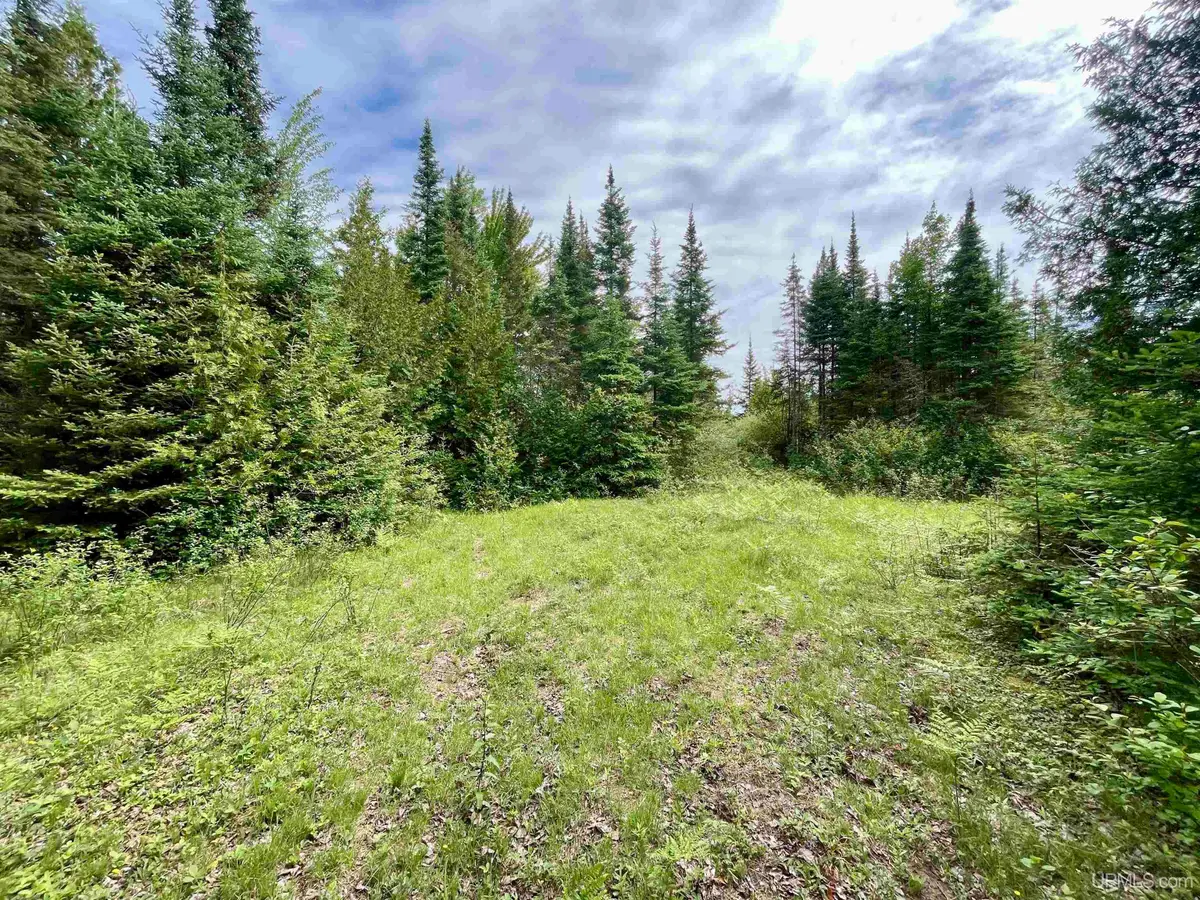 TBD 9th, Bark River, MI 49807 - #1