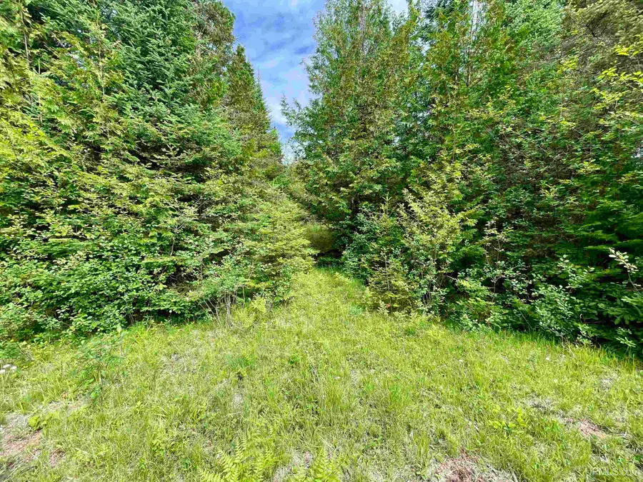 TBD 9th, Bark River, MI 49807 - #2