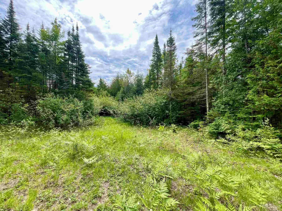 TBD 9th, Bark River, MI 49807 - #3