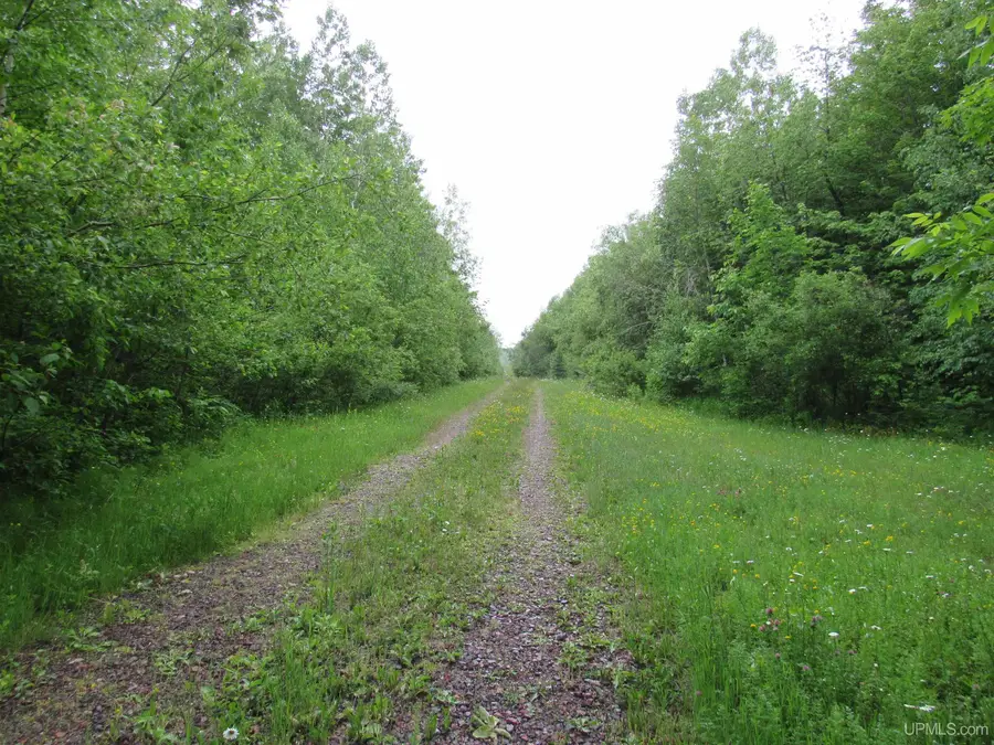 TBD Kingfisher, Ontonagon, MI 49953 - #3