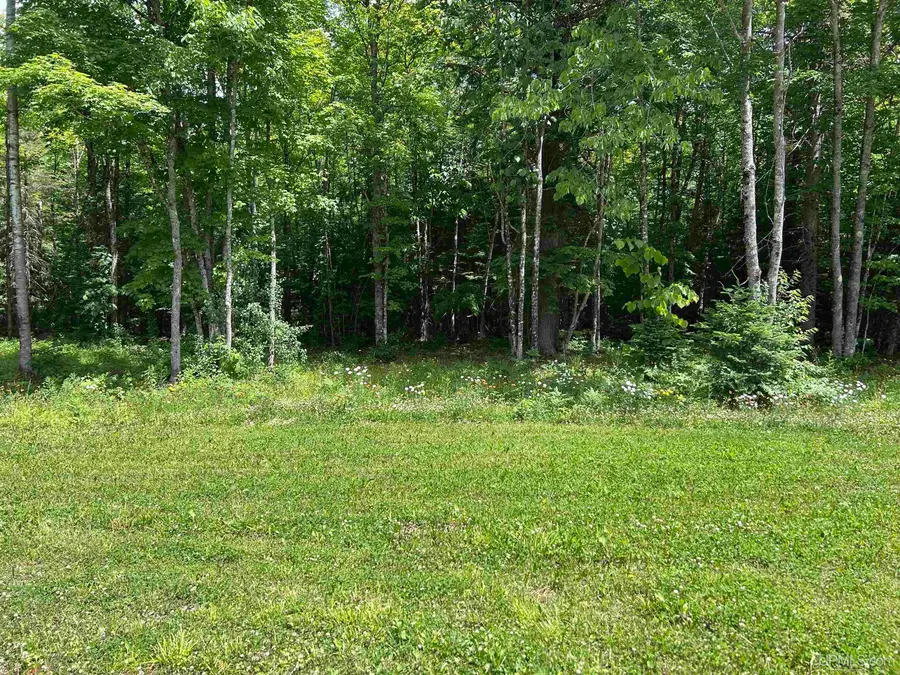 724 N County Rd 519, Wakefield, MI 49968 - #2