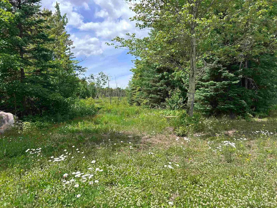 724 N County Rd 519, Wakefield, MI 49968 - #3