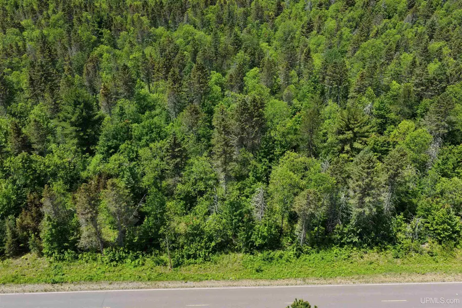 TBD Calderwood, Trout Creek, MI 49967 - #3