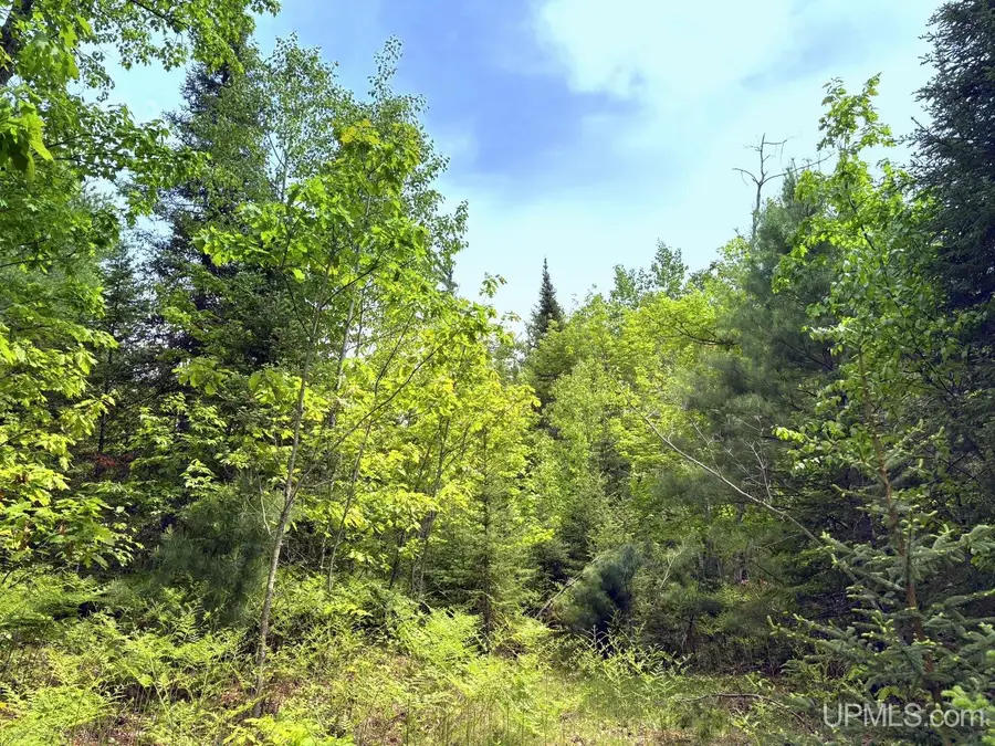 TBD Co Rd Nmu/station Rd, Gwinn, MI 49841 - #3