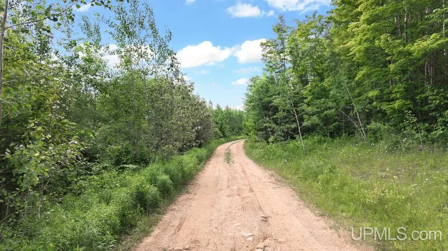 1188 NW South Ross Wells, Arnold, MI 49819 - #2