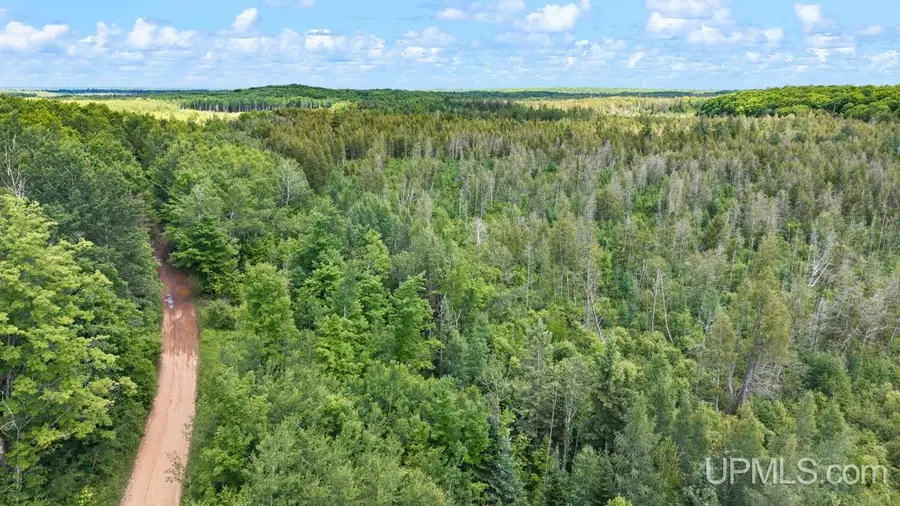 1188 NW South Ross Wells, Arnold, MI 49819 - #3