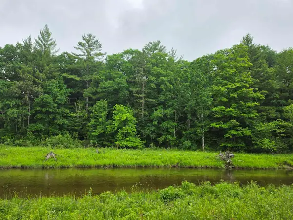TBD N Lakeshore, Gladwin, MI 48624