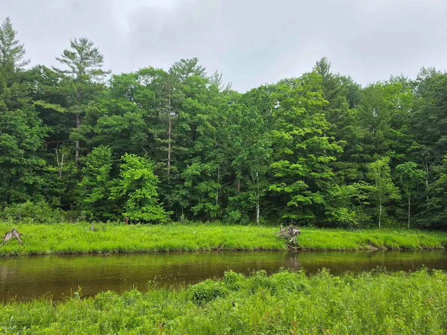 TBD N Lakeshore, Gladwin, MI 48624 - #2