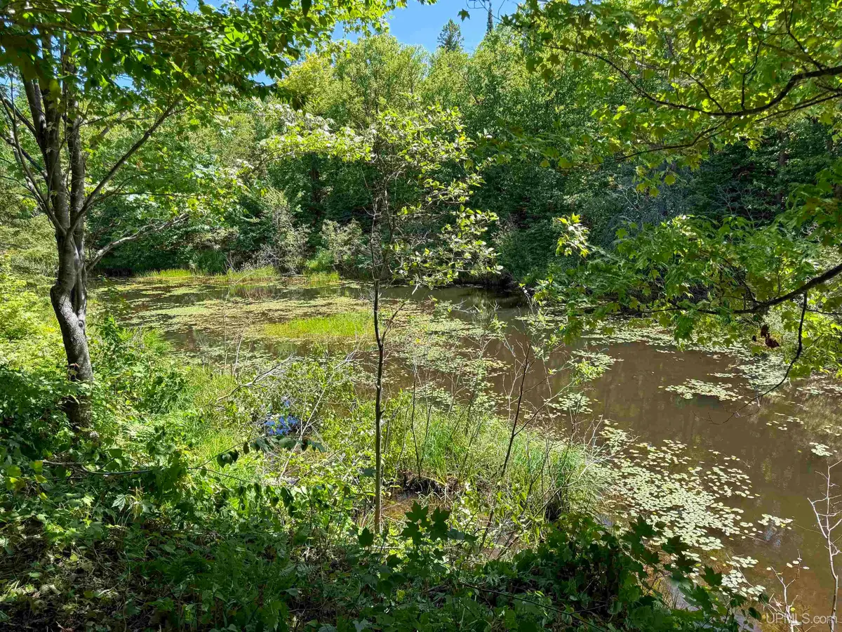 Lot 3 East Off Hwy M-64, Ontonagon, MI 49953 - #1
