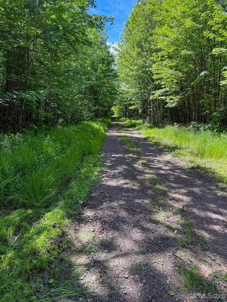 Lot 3 East Off Hwy M-64, Ontonagon, MI 49953 - #2
