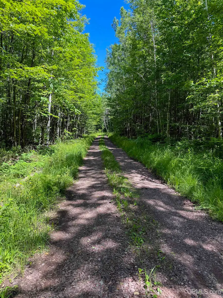 Lot 3 East Off Hwy M-64, Ontonagon, MI 49953 - #3