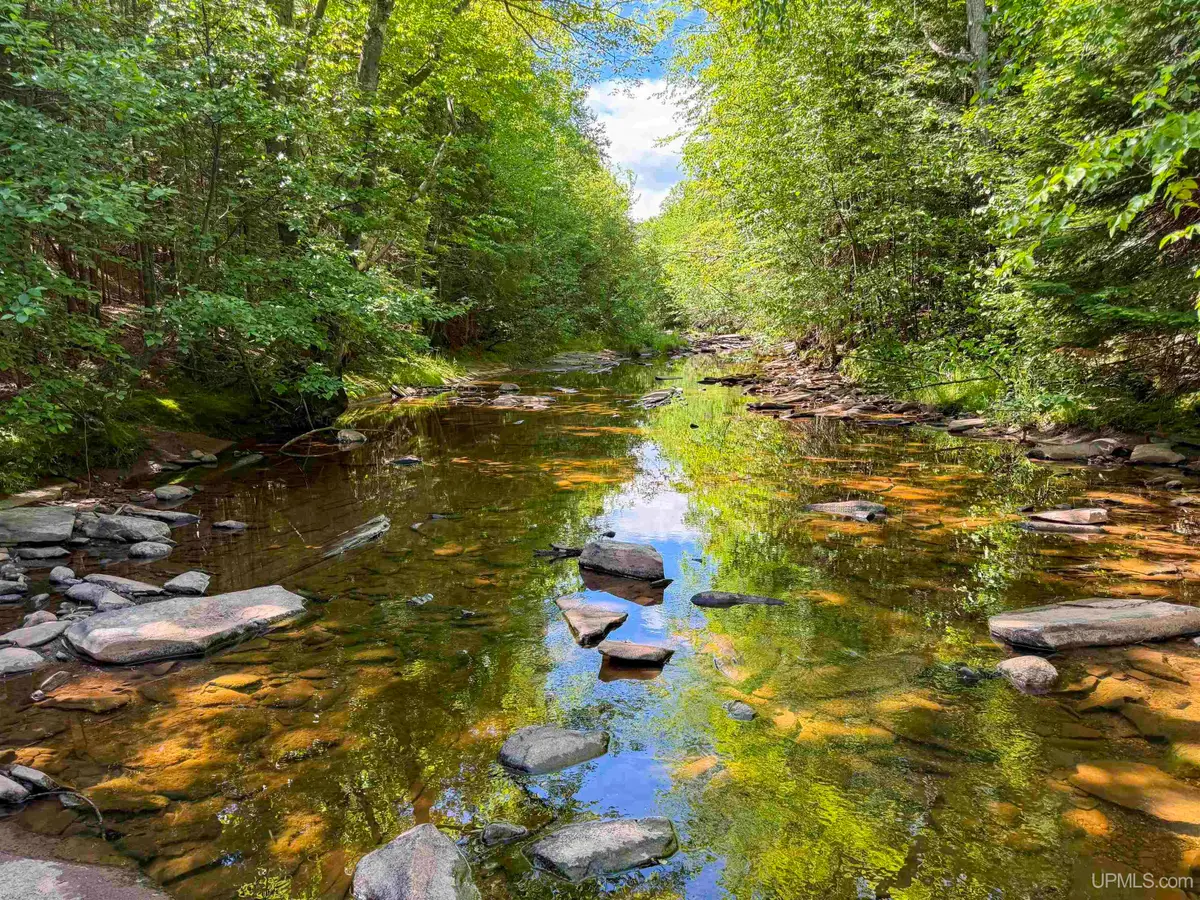 Lot 3 West Off Hwy M-64, Ontonagon, MI 49953 - #1