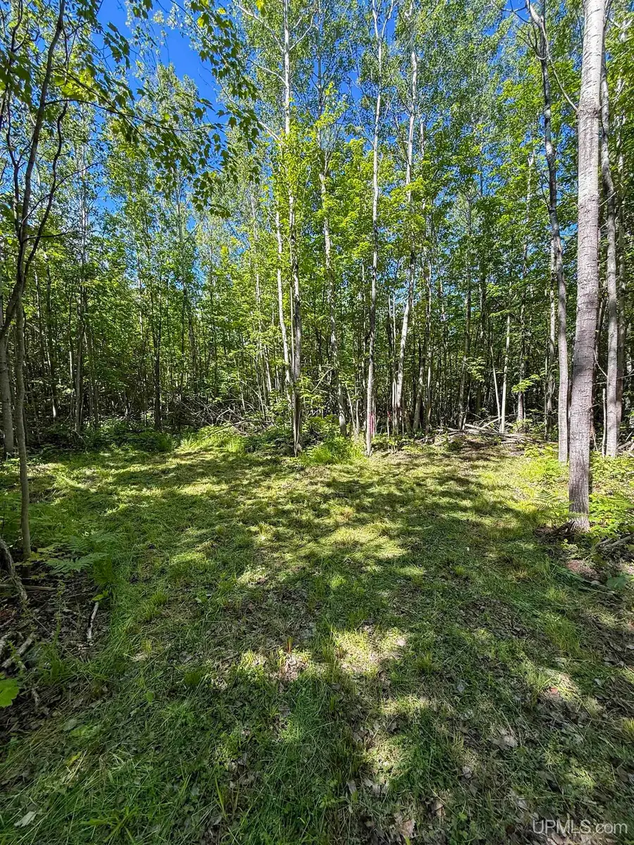 Lot 3 West Off Hwy M-64, Ontonagon, MI 49953 - #2