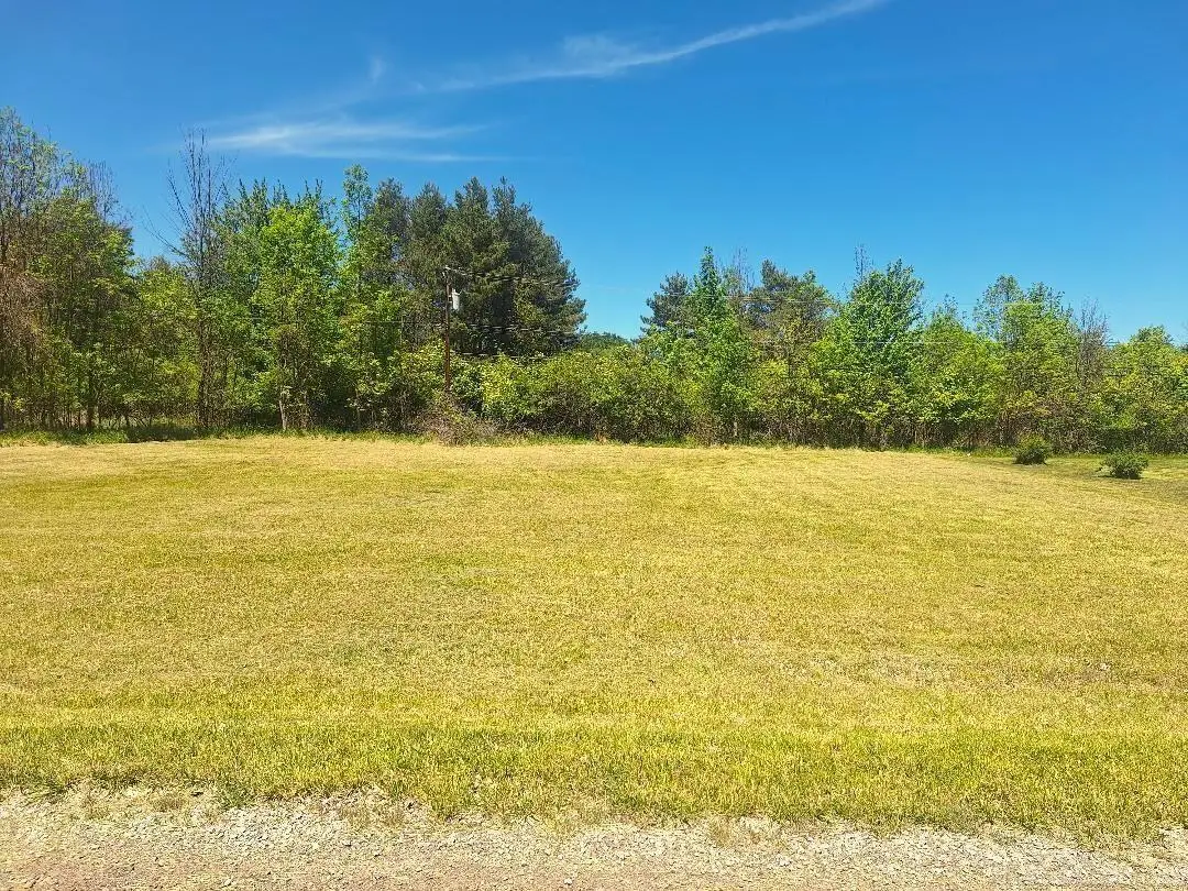 Lot 7 Avalon, Lexington, MI 48450 - #1