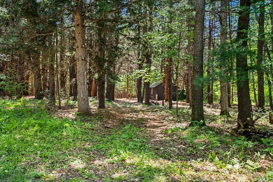 S Fenmore, Merrill, MI 48637 - #3